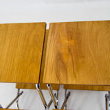 Set of Two Mid-Century Flower Stands, Czechoslovakia, 1960s