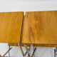 Set of Two Mid-Century Flower Stands, Czechoslovakia, 1960s
