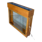 illuminated planter display case from the 1950s
