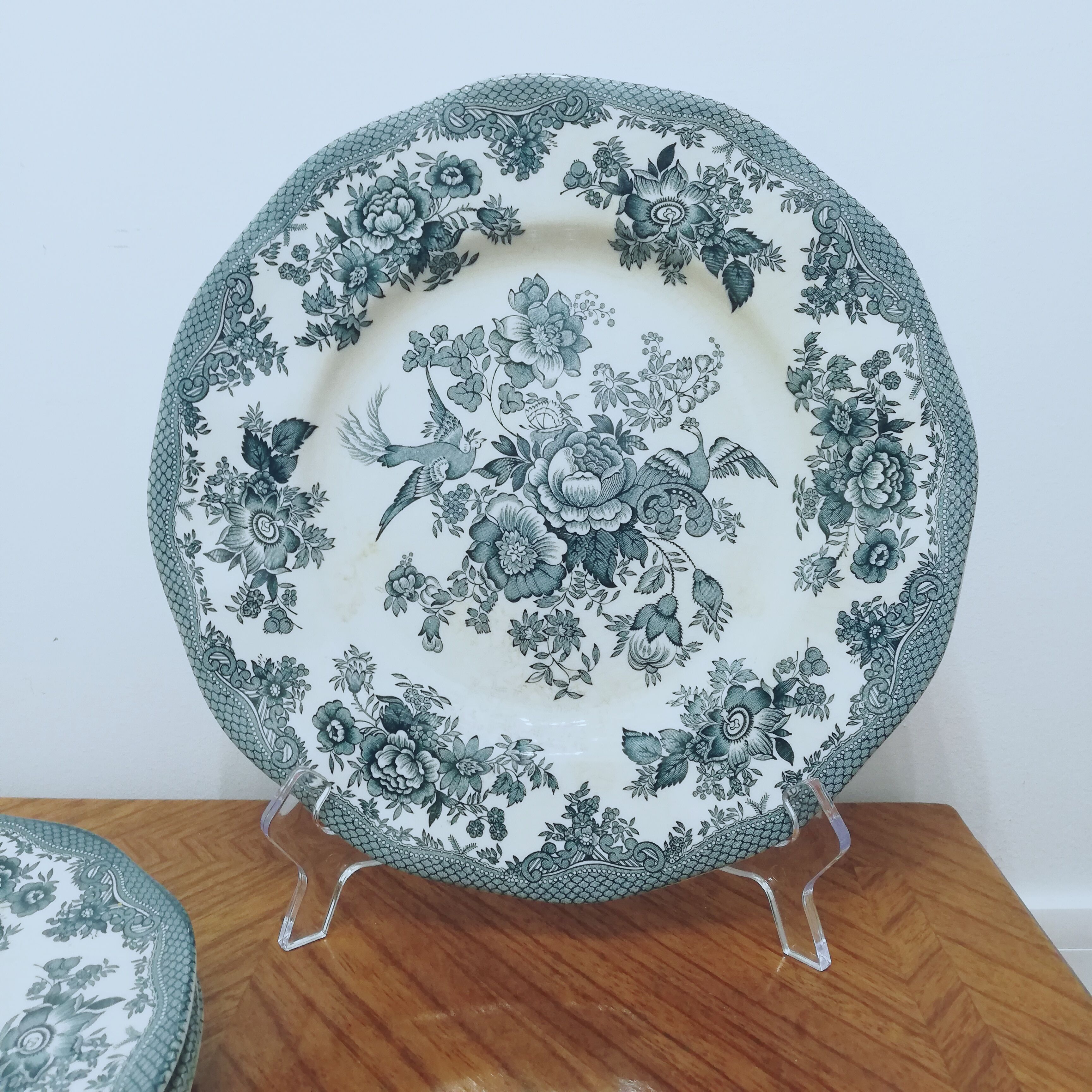 6 earthenware plates Enoch Wedgewood décor "asiatic pheasants"