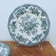 6 earthenware plates Enoch Wedgewood décor "asiatic pheasants"