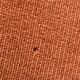 Sofa and chair toad velvet padded velvet