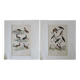 Lot de 2 gravures d'oiseaux anciennes a encadrer