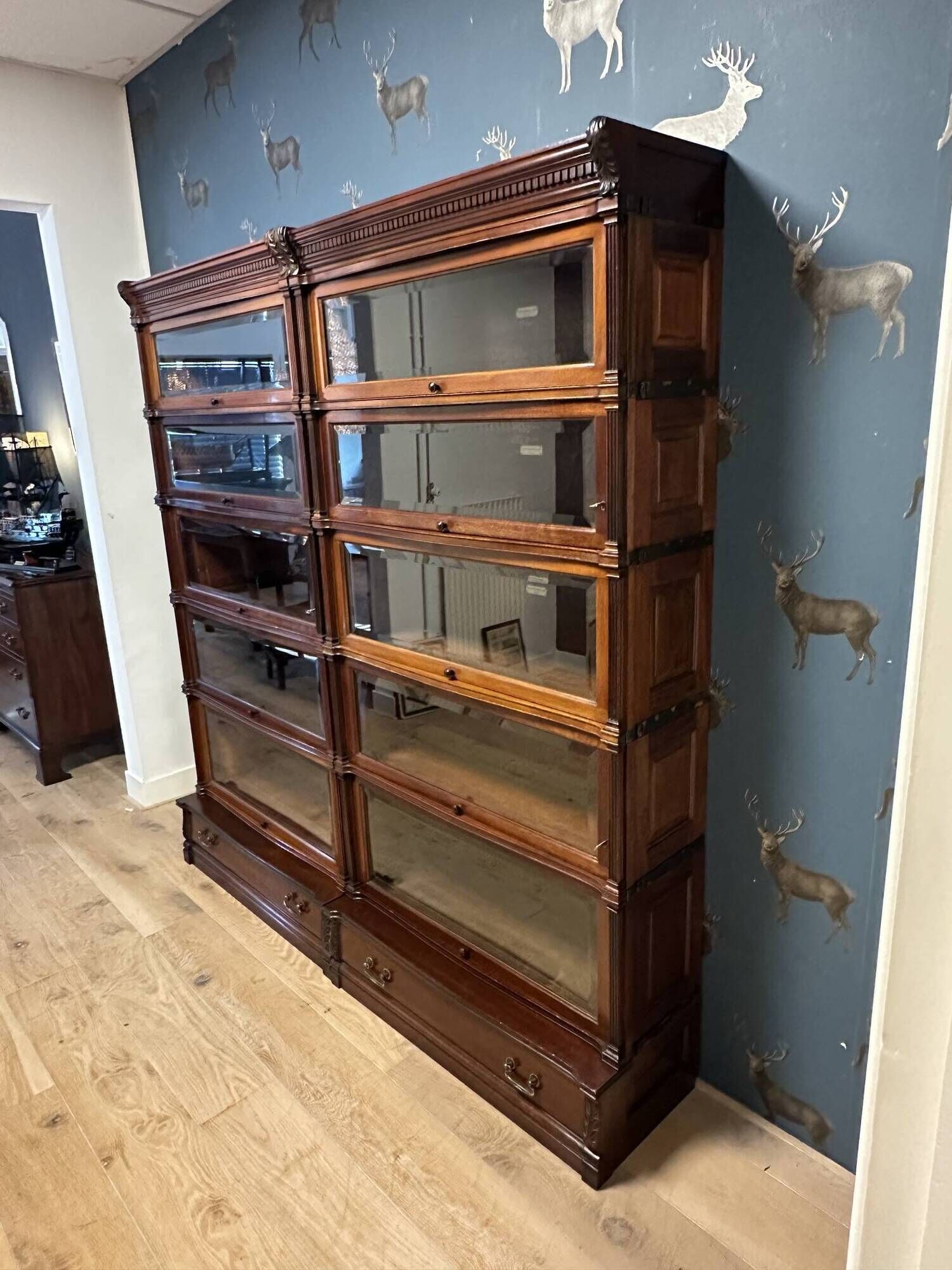 Special Globe Wernicke Bookcase