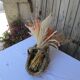 Panier a anse en raffia tresse