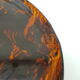 Vintage turtle shell serving tray