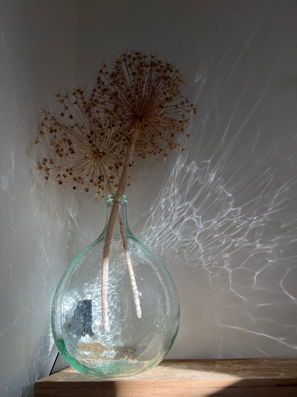 Transparent 5L demijohn