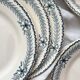 12 "Chinon" ironstone dessert plates from Choisy le Roi