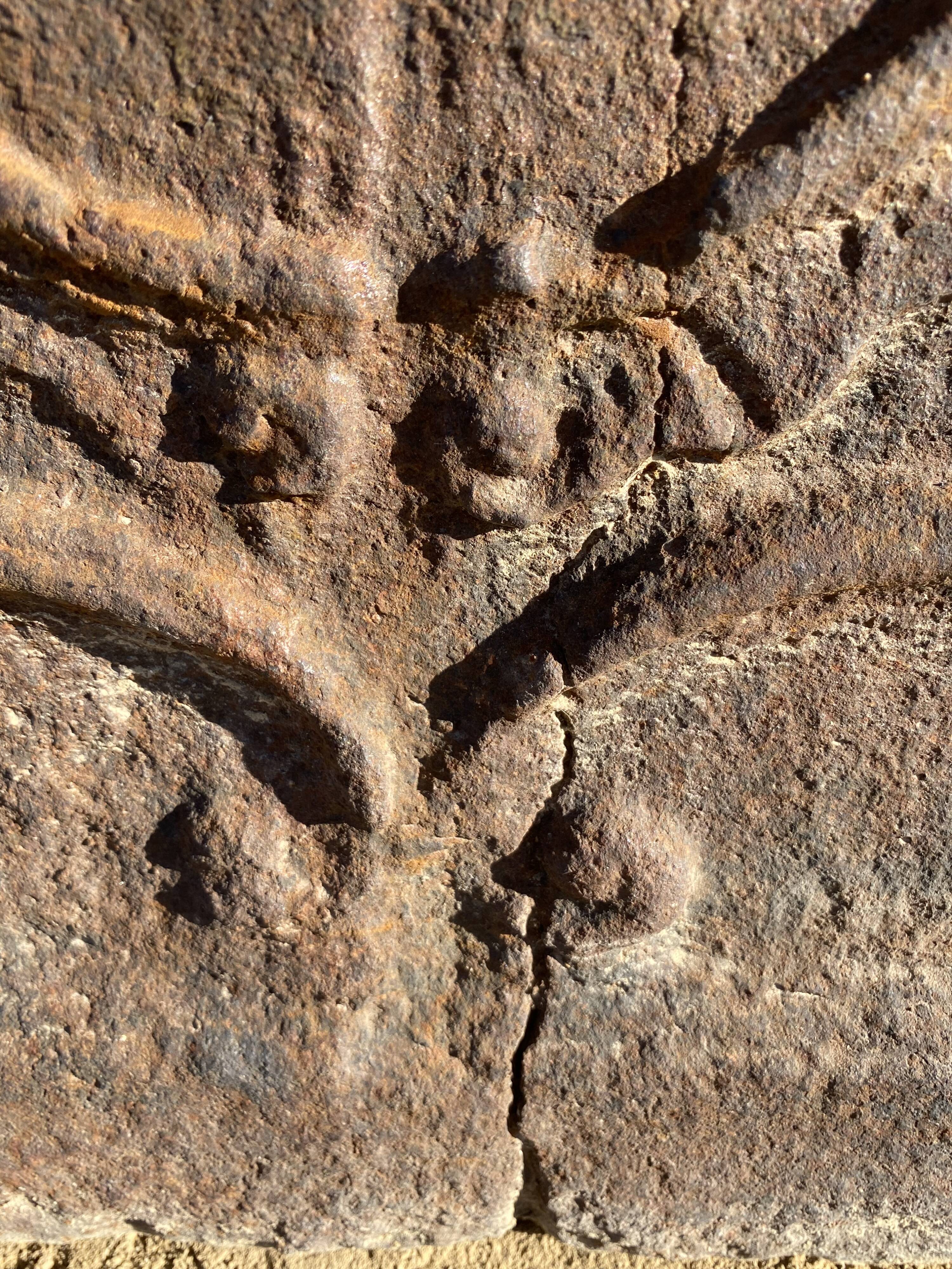 Castle unicorn fireplace plate