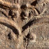 Castle unicorn fireplace plate