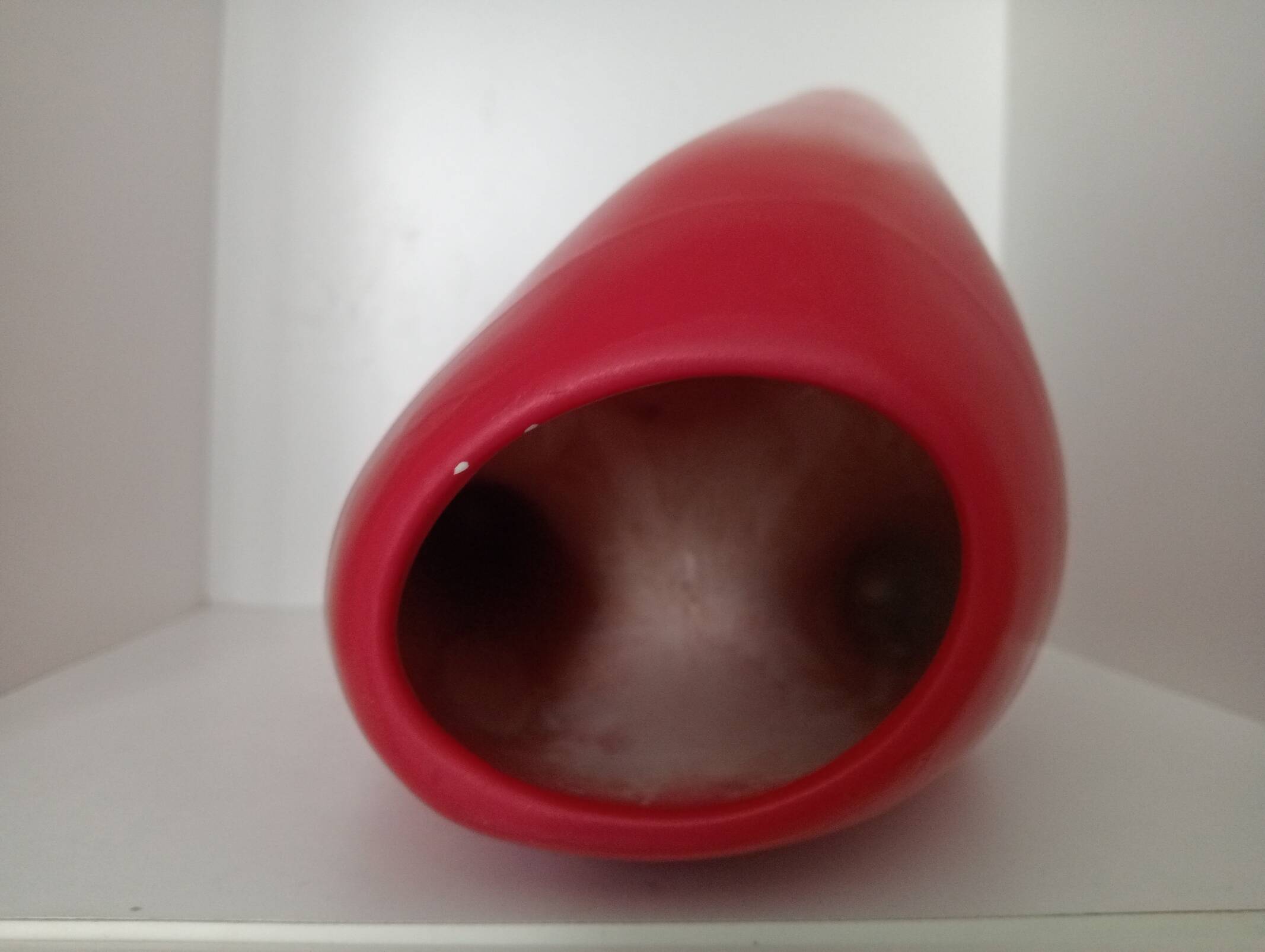 Tooth-shaped vase