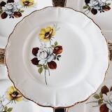 6 Assiettes Creuses Porcelaine Française Sarreguemines Fleurs Marron