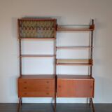 Ergo Teak Storage Cabinet, Vintage Scandinavian 1960s