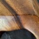 Wooden fish shaped dish