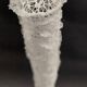 Cabinet of Curiosities sponge Venus basket euplectella arpergillum soc