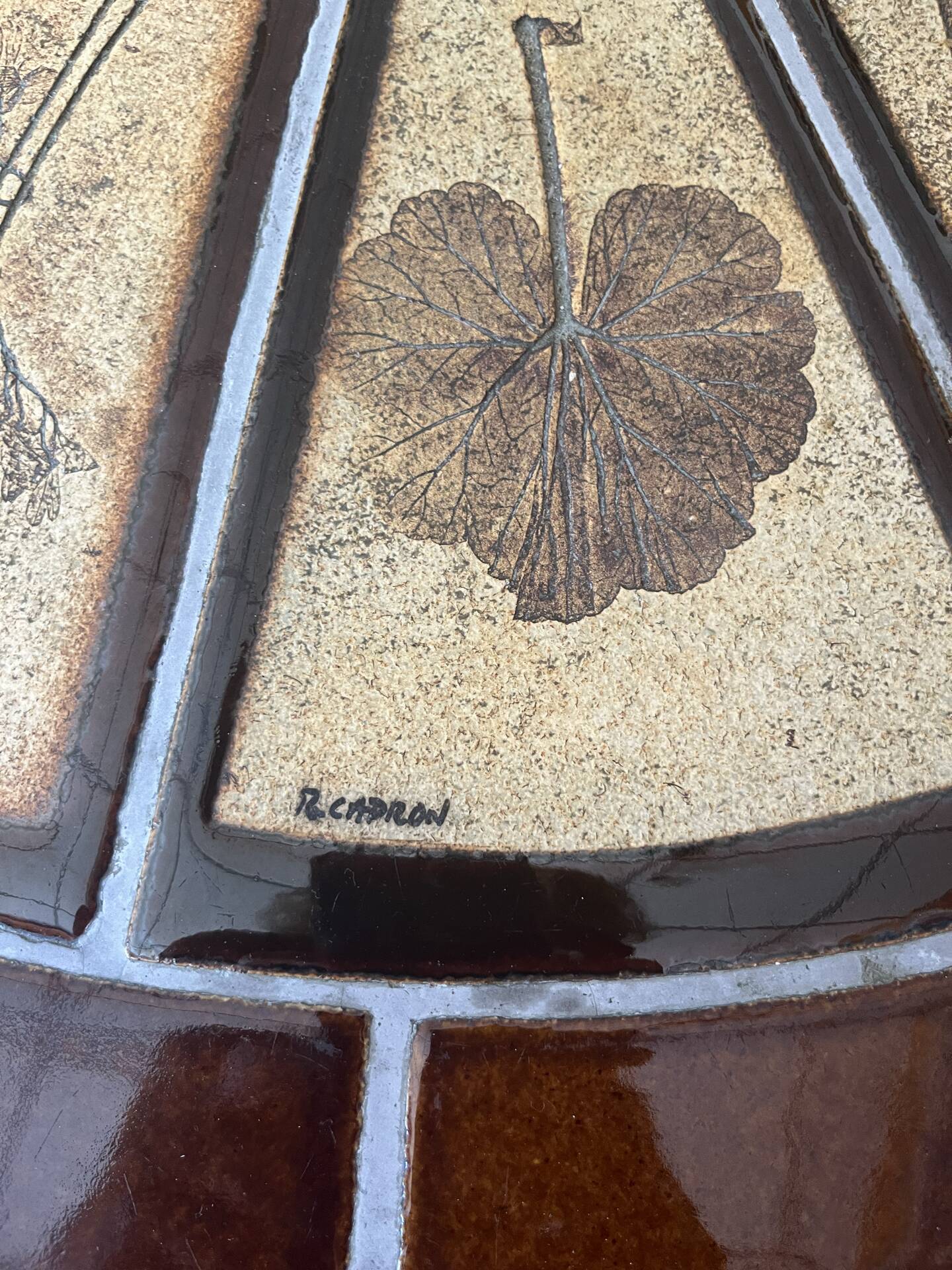 Herbarium coffee table Roger Capron