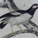 Original ornithological plate "Oxpecker - Common Starling - &c..." Buffon 1836