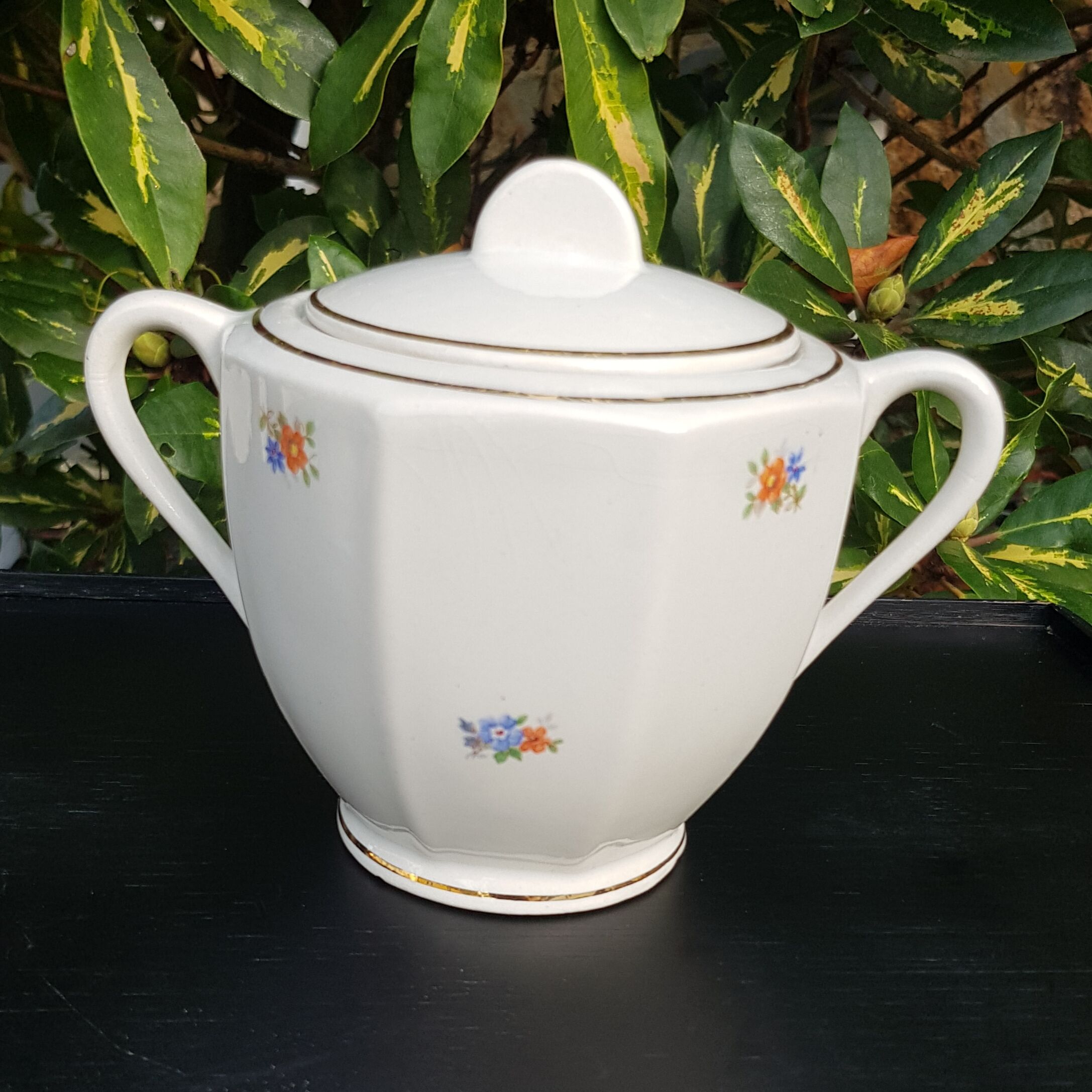 Sugar powder Badonviller porcelain