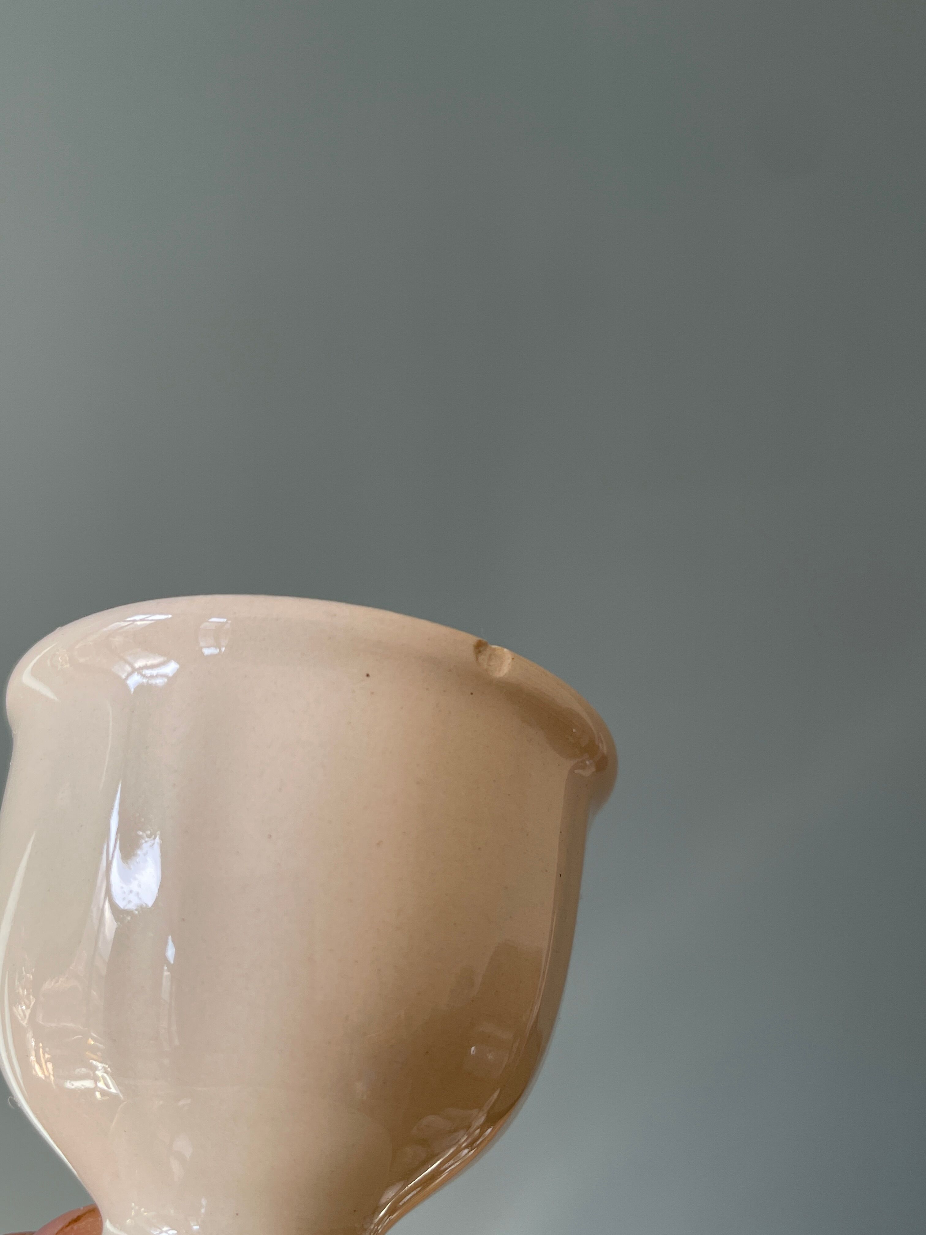 Set of 13 old standing cockroaches