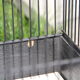 Small birdcage