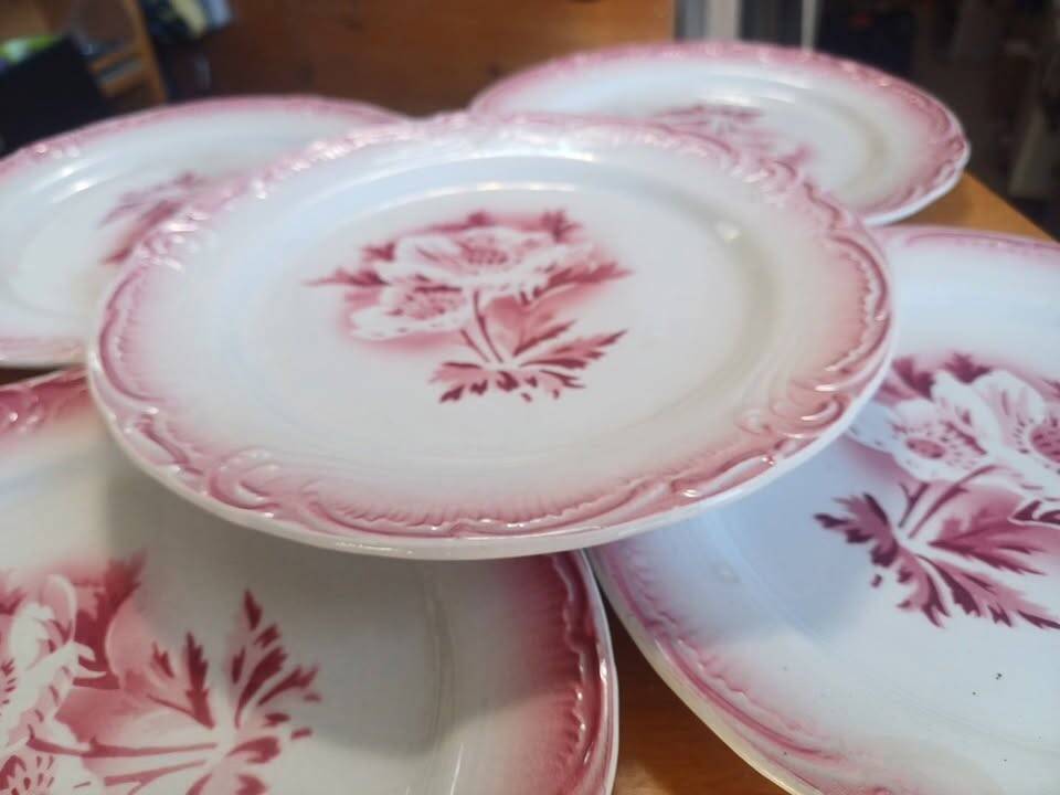 Lot of 5 antique opaque porcelain plates.
