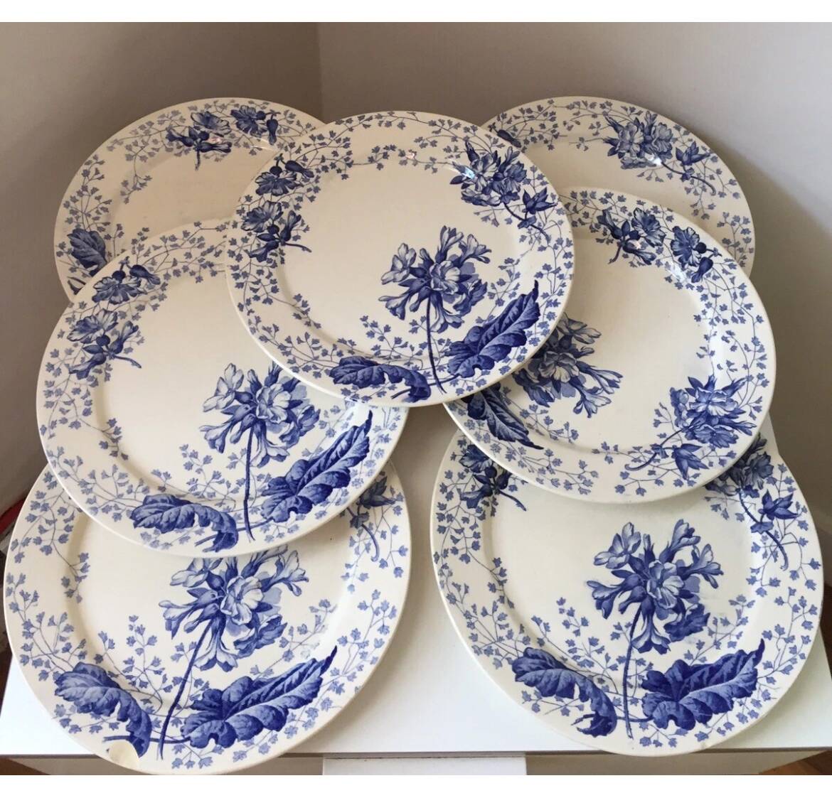 Assiette terre de fer Creil et Montereau décor primevère XIX