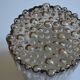 Staff leuchten pendant chandelier 1960s