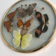 Vintage butterfly frame