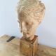 Plaster head goddess Hygie