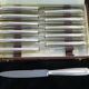 12 dessert knives orbrille in silver metal stainless steel blade