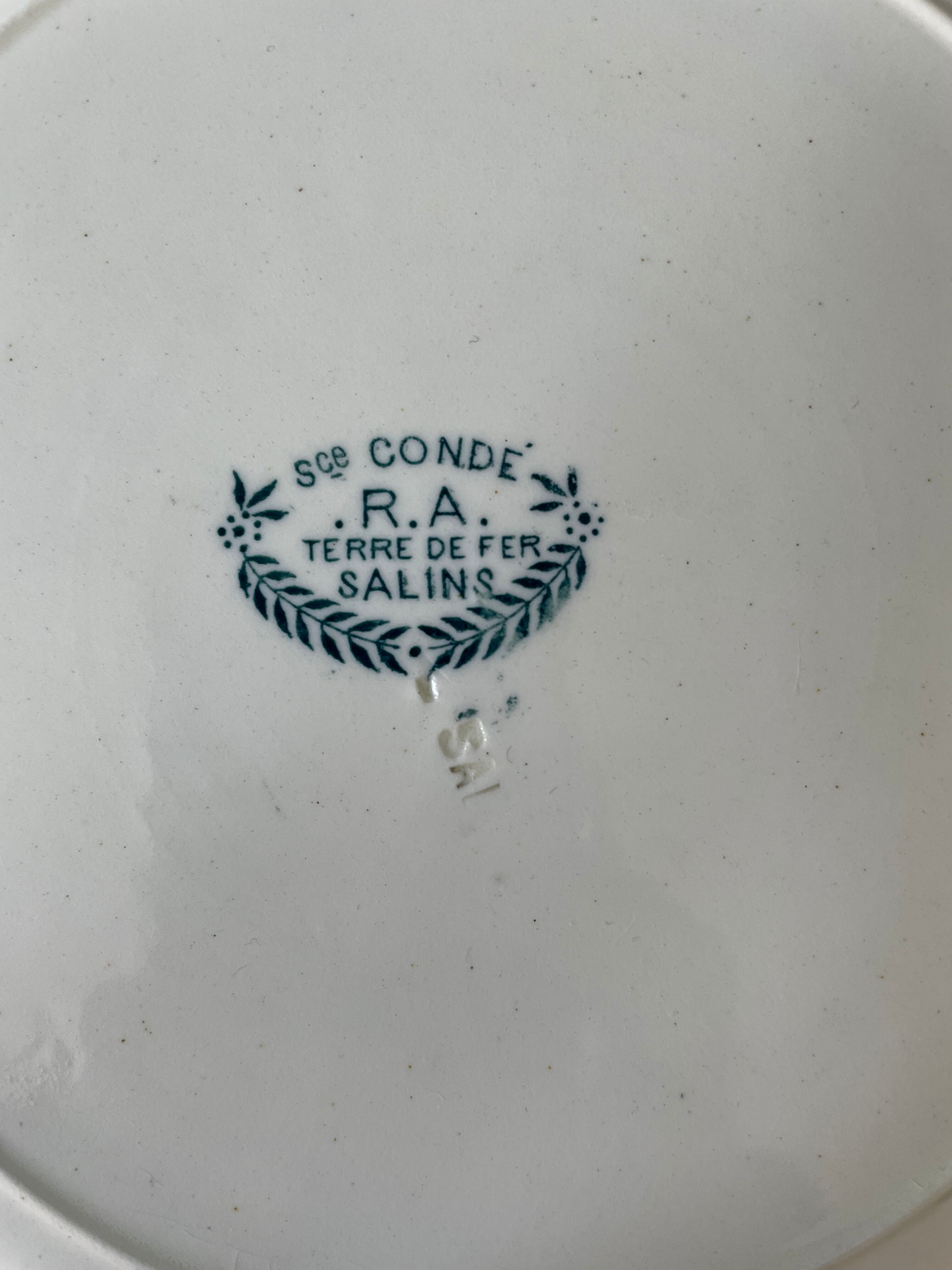 Set of 11 hollow plates Terre de Fer, Service Condé, Salins