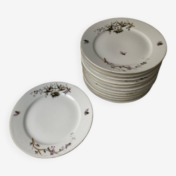 assiettes 13 à dessert vintage  en porcelaine HACHE, JULIEN & CIE, Vierzon, Grand prix de 1889, déco