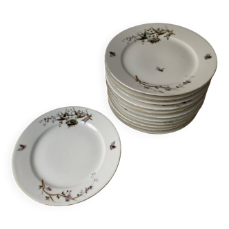 vintage 13 dessert plates in HACHE porcelain, JULIEN & CIE, Vierzon, Grand prix of 1889, decoration