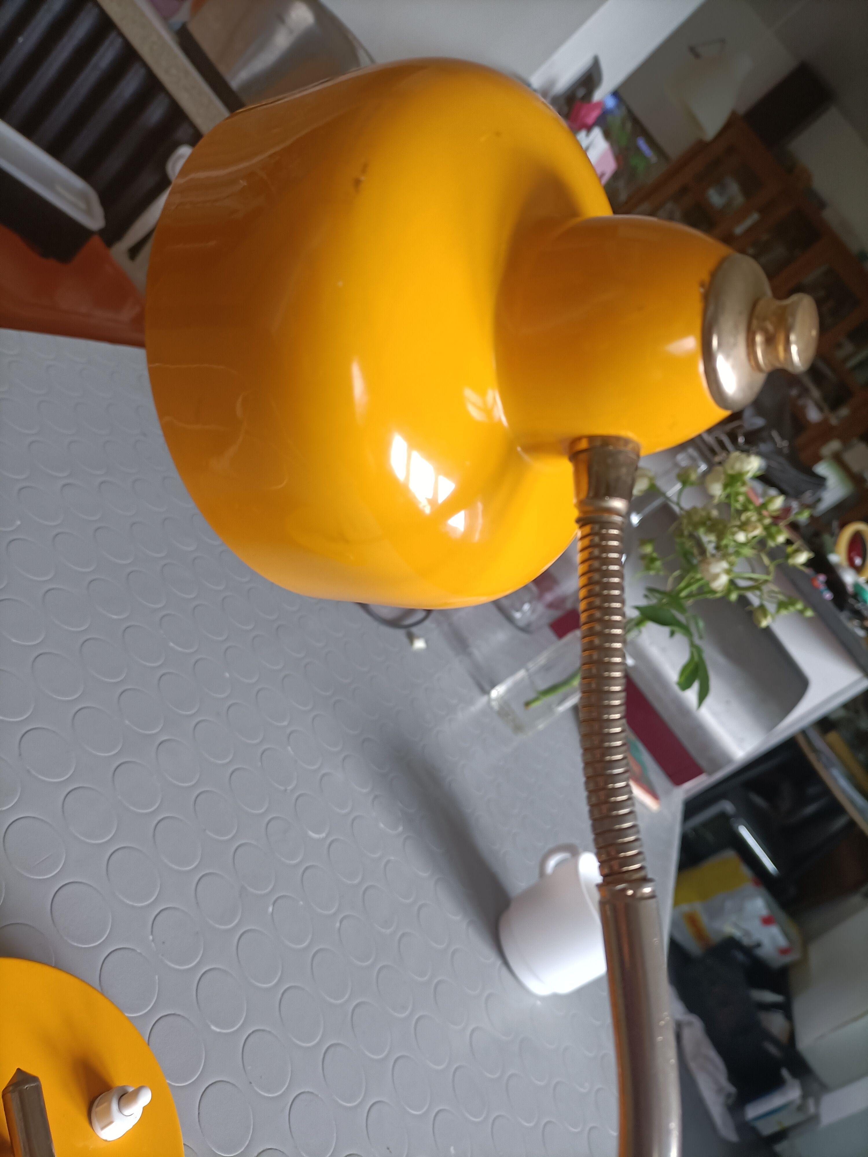 La Monteuse Disderot lamp