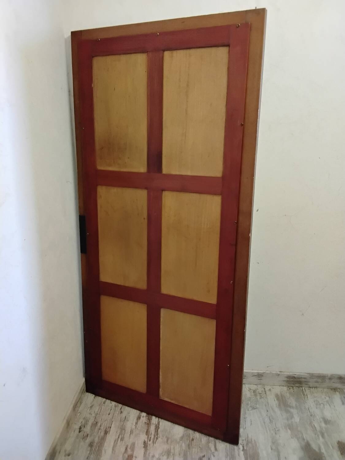 Large mirror/wardrobe door