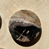 Set of 4 fossilized wooden coasters