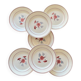 7 antique dinner plates