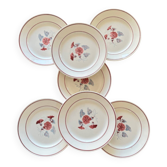 7 antique dinner plates