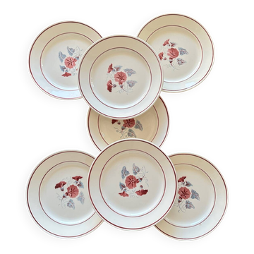 7  assiettes plates anciennes
