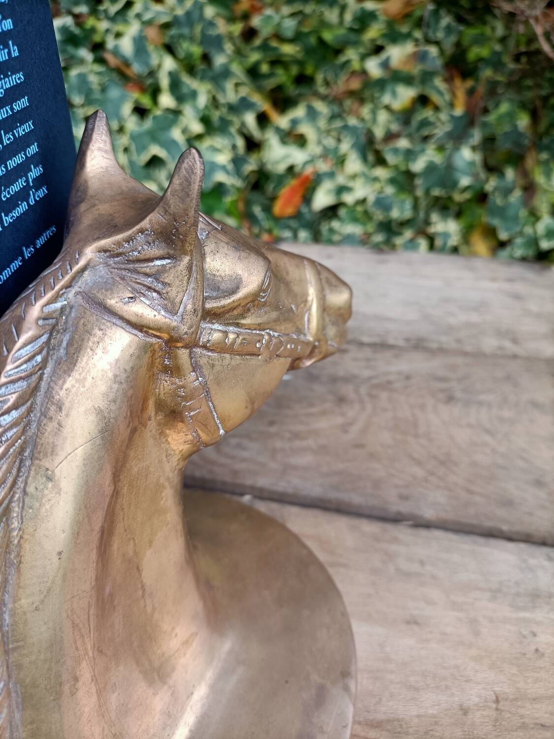 Serres Livres Laiton Cheval Vintage
