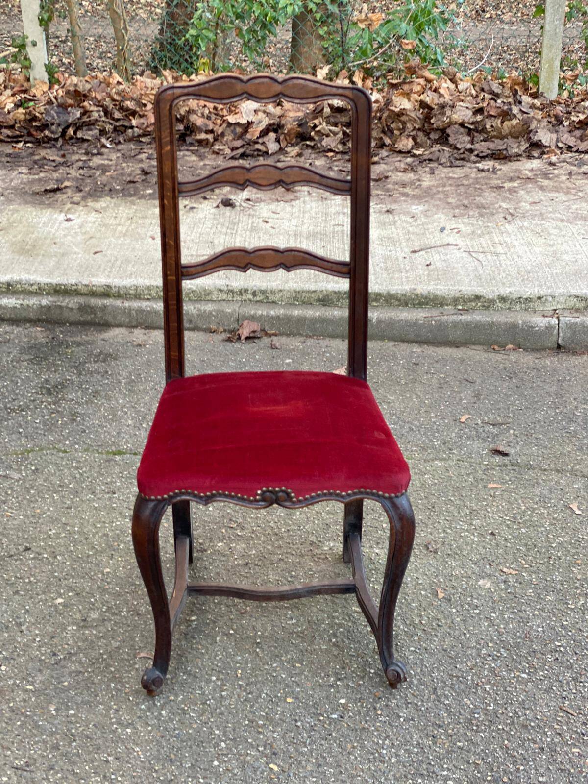Louis XV dining chair, solid wood, burgundy velvet.