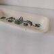 Vintage Longchamp Terre de Fer Juliette pocket emptier with blue-grey decor