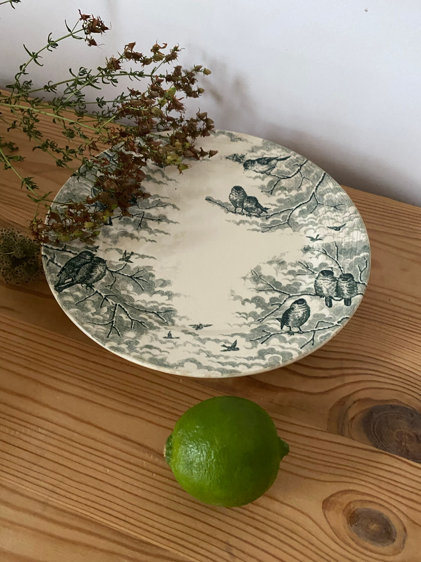 Assiette sur pied terre de fer estampillée U&C Sarreguemines neige.