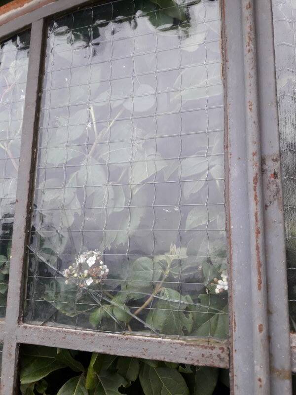 Window L107xH174 industrial curved metal glass roof frame reinforced glass