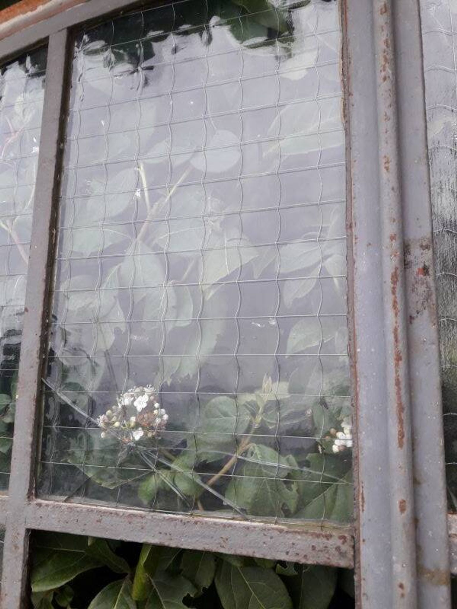 Window L107xH174 industrial curved metal glass roof frame reinforced glass