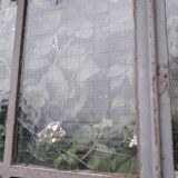 Window L107xH174 industrial curved metal glass roof frame reinforced glass