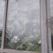 Window L107xH174 industrial curved metal glass roof frame reinforced glass