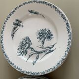 Set of 10 Lunéville ironstone soup plates, Oeillet model