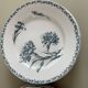 Set of 10 Lunéville ironstone soup plates, Oeillet model
