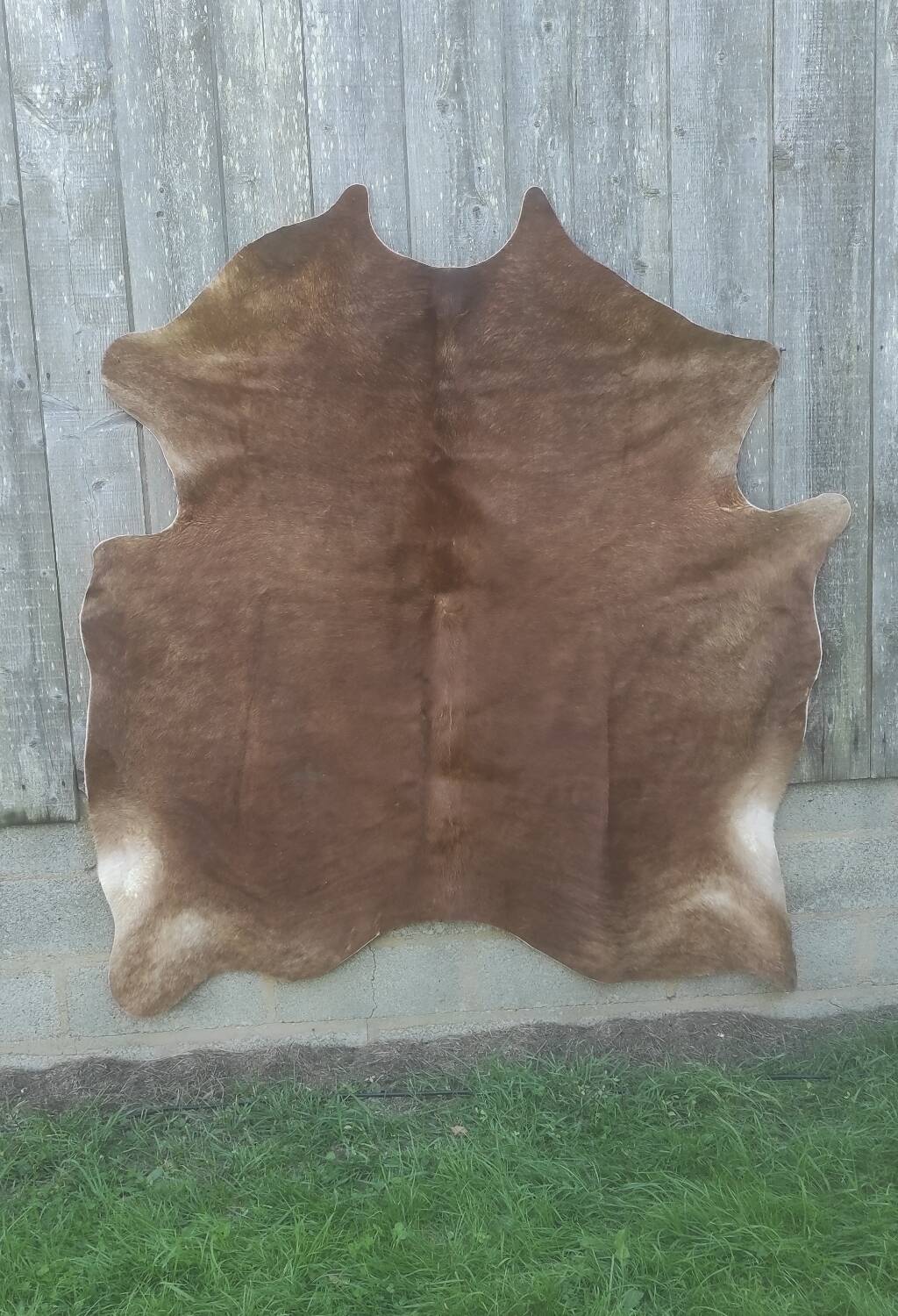 Cowhide XL